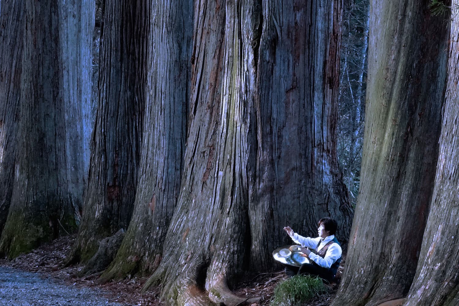 戸隠神社・奥社